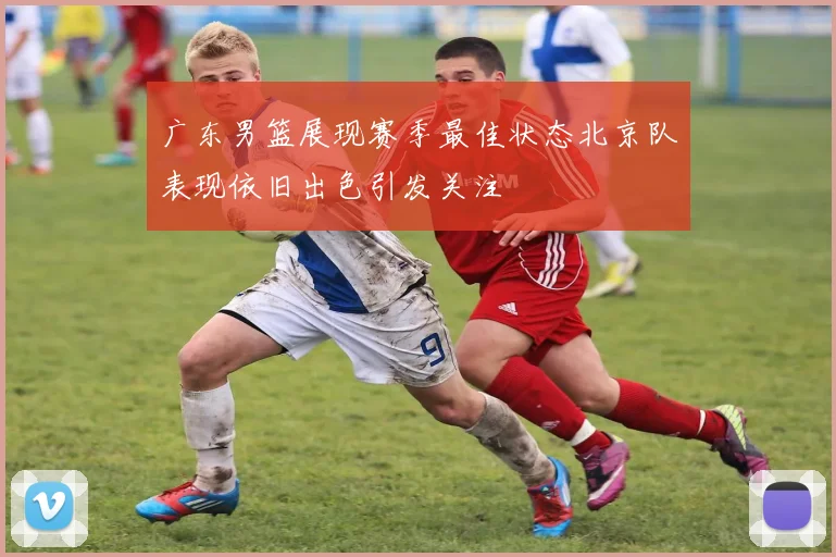 广东男篮展现赛季最佳状态北京队表现依旧出色引发关注